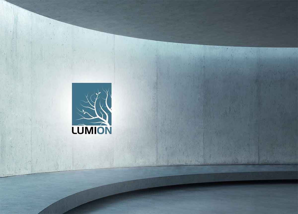 Lumion went out of memory: Use Virtual Memory or iRender?