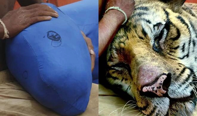One of the impressive scenes of the movie: The Life of Pi (2012).
