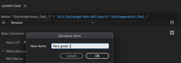 In Premiere, you can rename your grades individually.