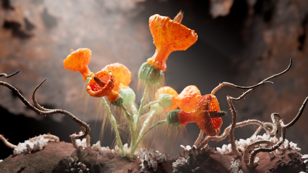 set up a basic HQueue farm