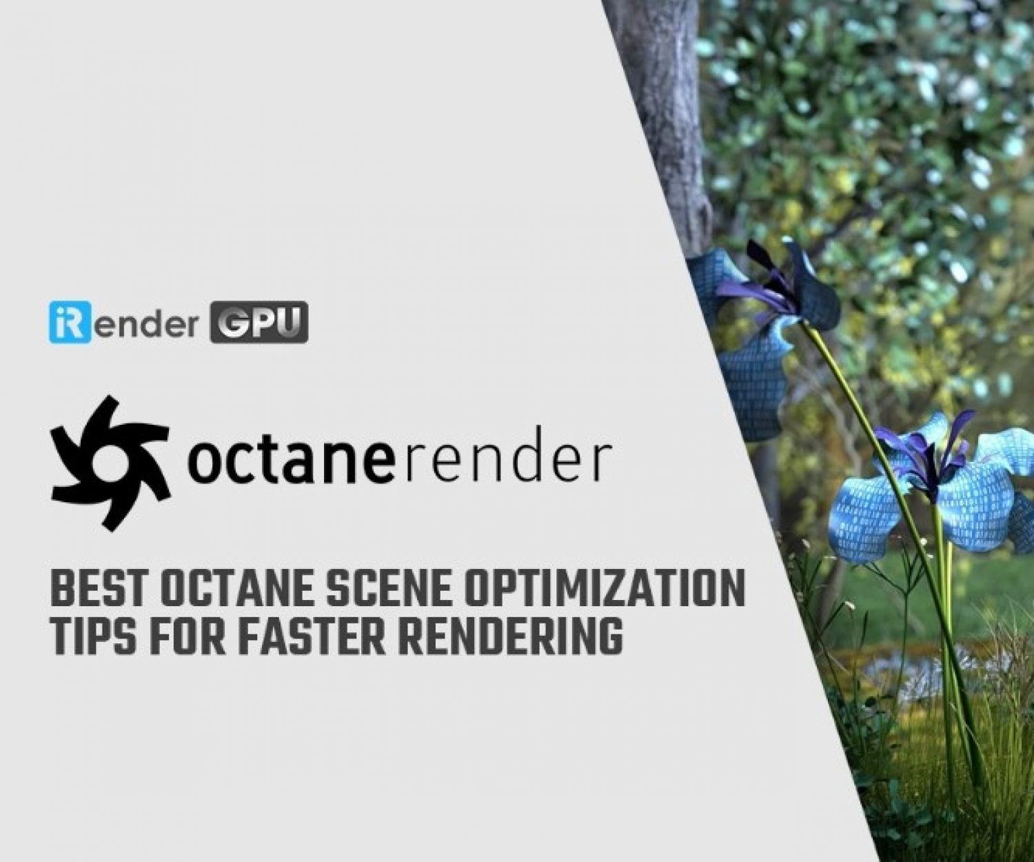 Octane Render Farm | Octane Cloud Rendering | IRender