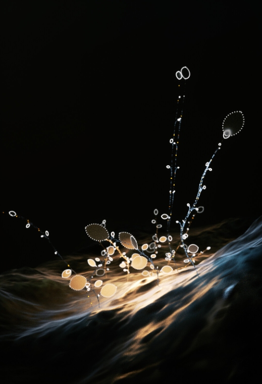 Best Render Engines for Houdini 2022 Houdini Cloud Rendering