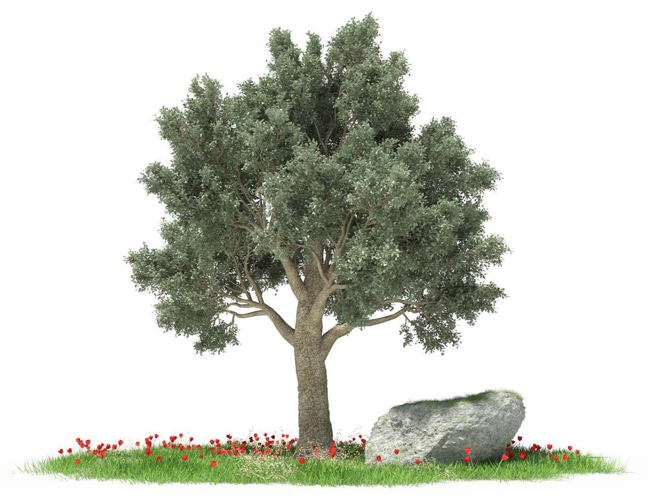 Speed up Forester rendering in C4D with iRender 01