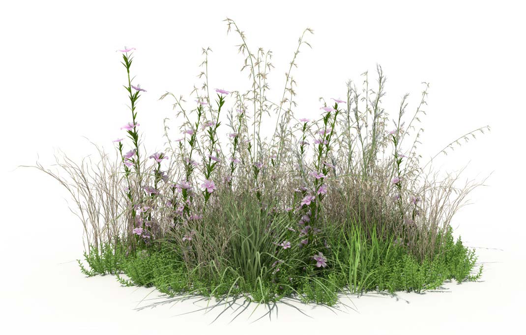 Speed up Forester rendering in C4D with iRender 03