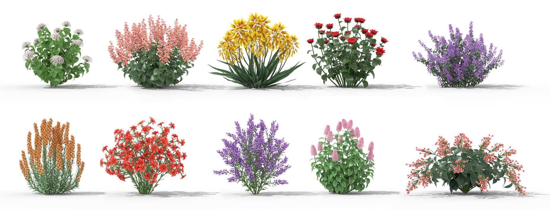 Speed up Forester rendering in C4D with iRender 07