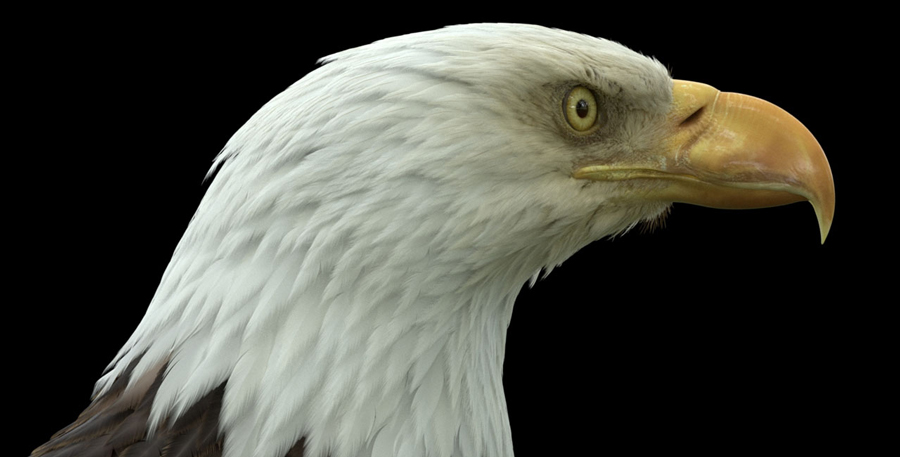 Explore the outstanding features of Houdini 20 with iRender image 5