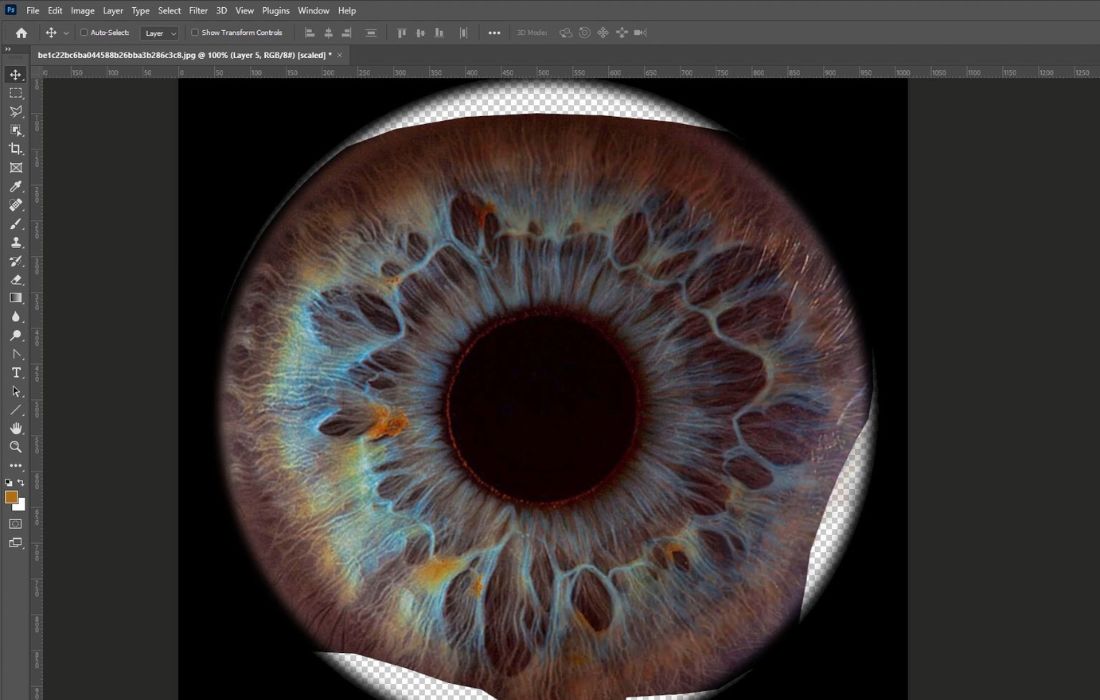 Basic steps to model 3D eyes 4