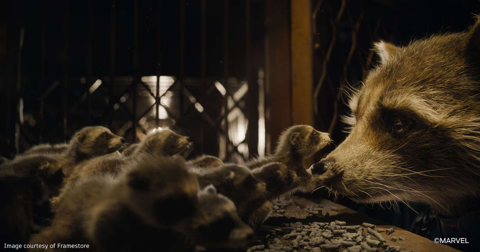 Comparative Review: Blender vs. Maya vs. 3ds Max 2