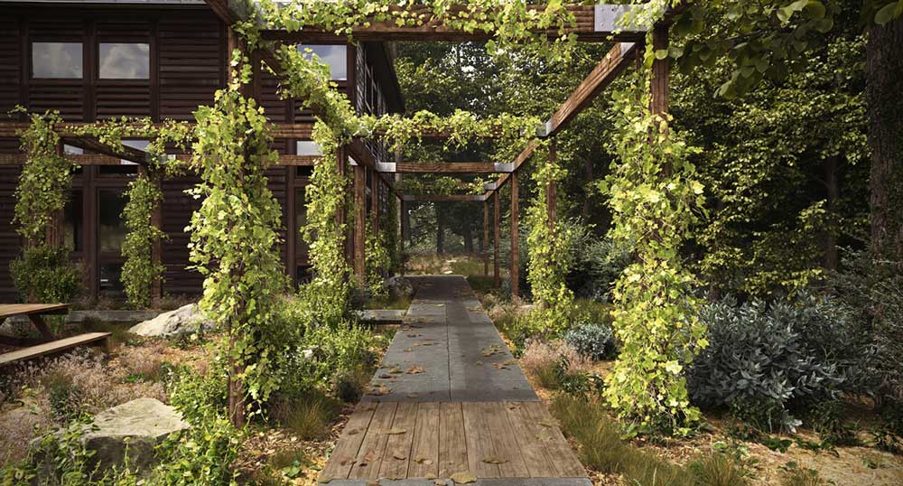 ForestPack 9 image 2