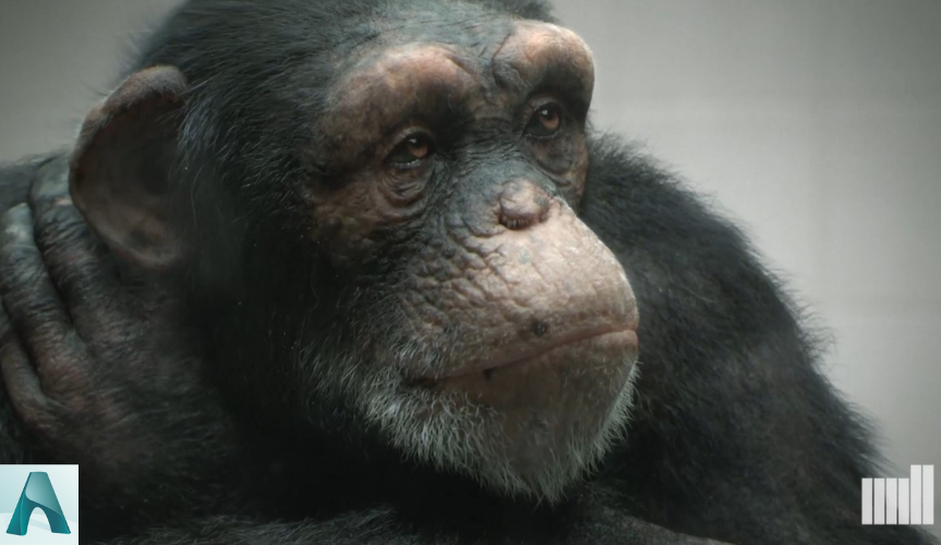 Should we use Vray GPU or Arnold GPU for Cinema 4D 2